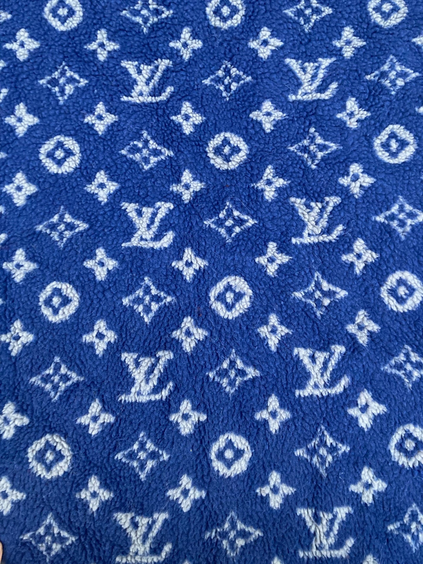 Blue Furry Cozy LV Teddy Flannel Fabric